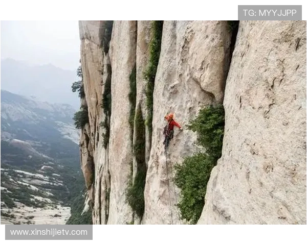 上海攀岩队比赛经验的变革与热议背后的故事与启示